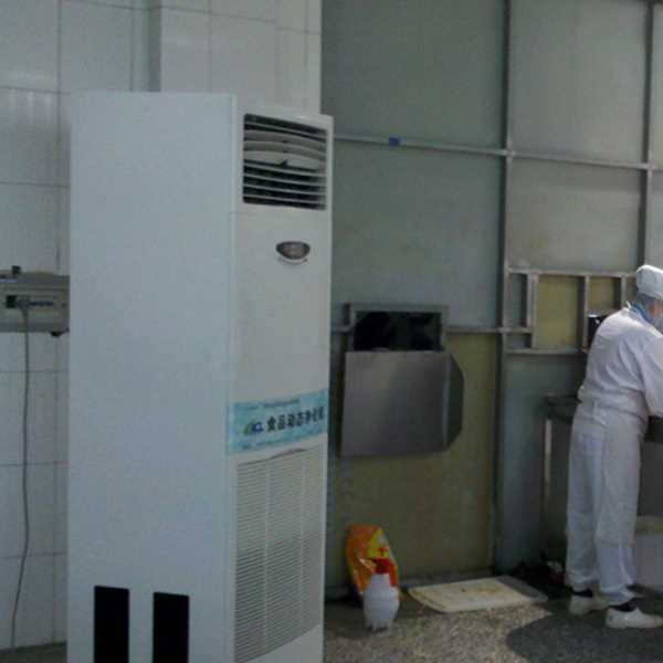 龙岩食品正负离子空气杀菌器